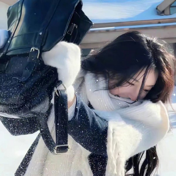 征服北极的人
