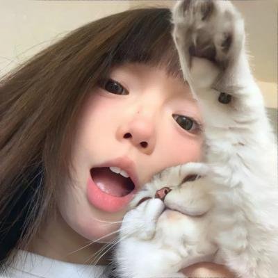 啊哈，叔比狗!